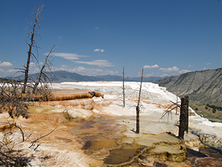 03-05-4 Mammoth Hot Springs --- Canary Spring scene 2
